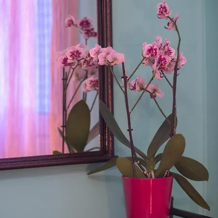 Apartment Markem Katouna